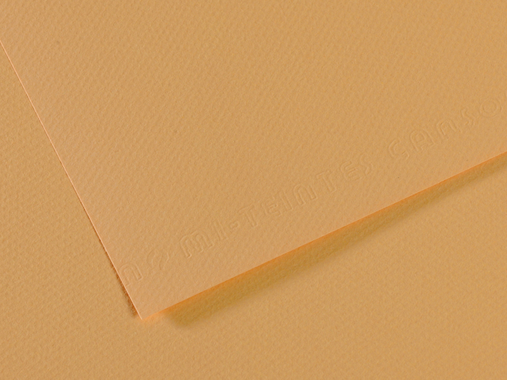 Grainy paper MiTeintes 160g A4 340 oyster